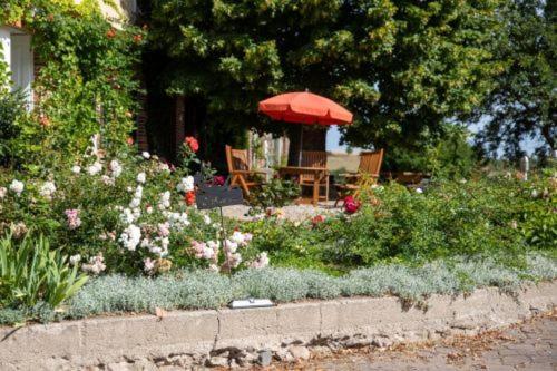 Landurlaub Auf Dem Mellenhof Apartment Funkenhagen Luaran gambar